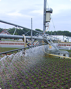 Freilandgießwagen Freilandgießwagen